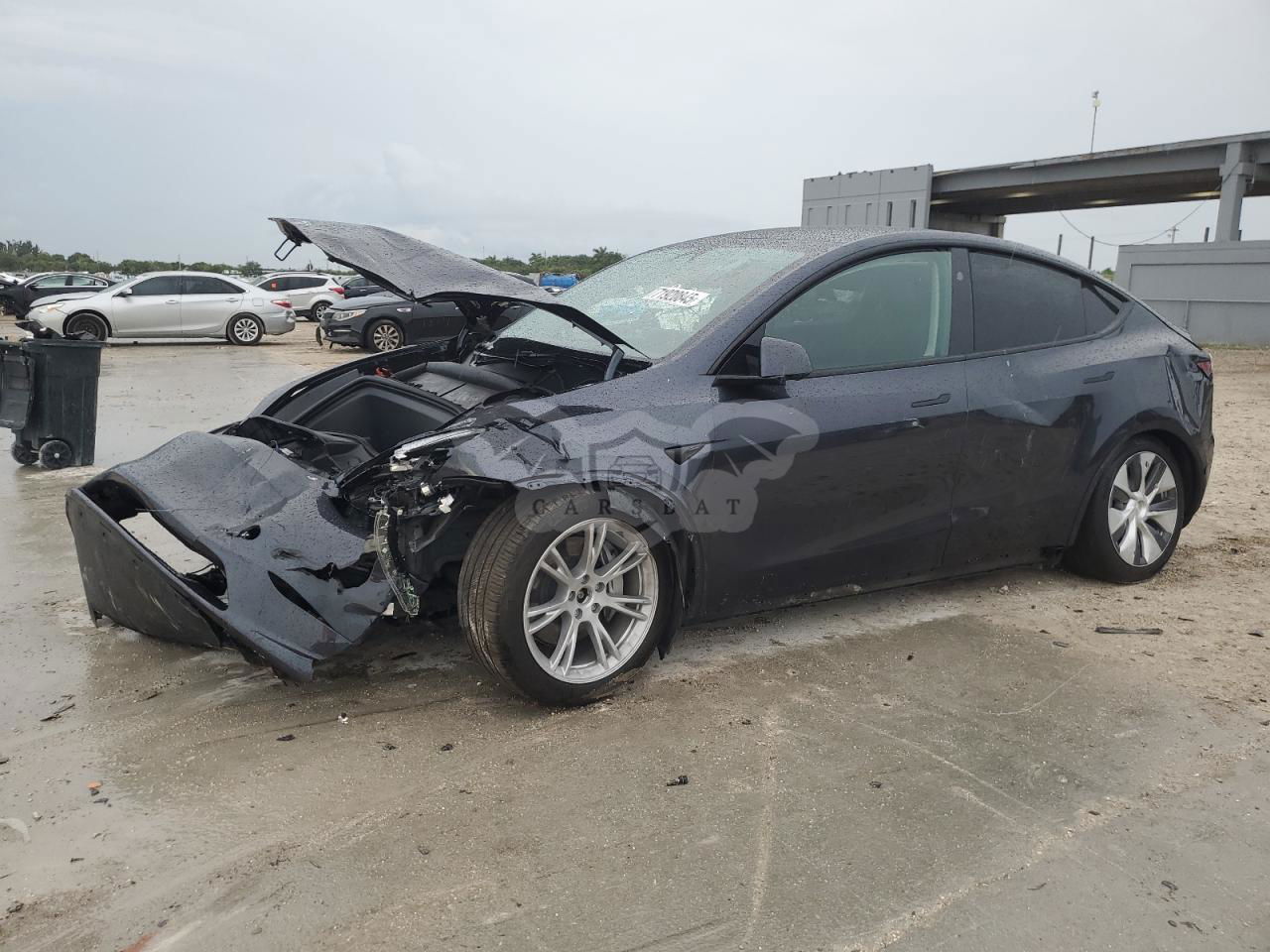 Tesla Model Y 2024