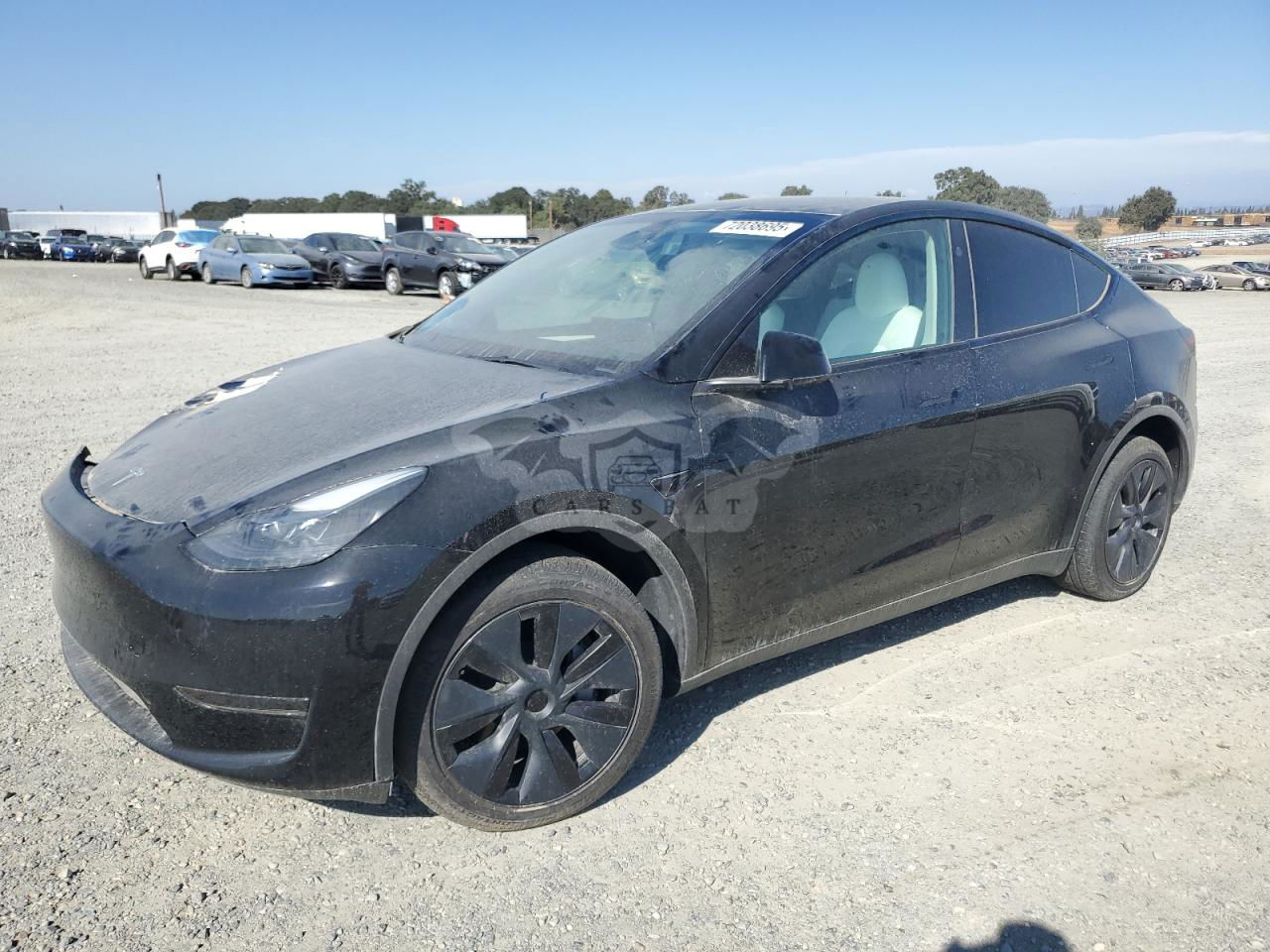Tesla Model Y 2024