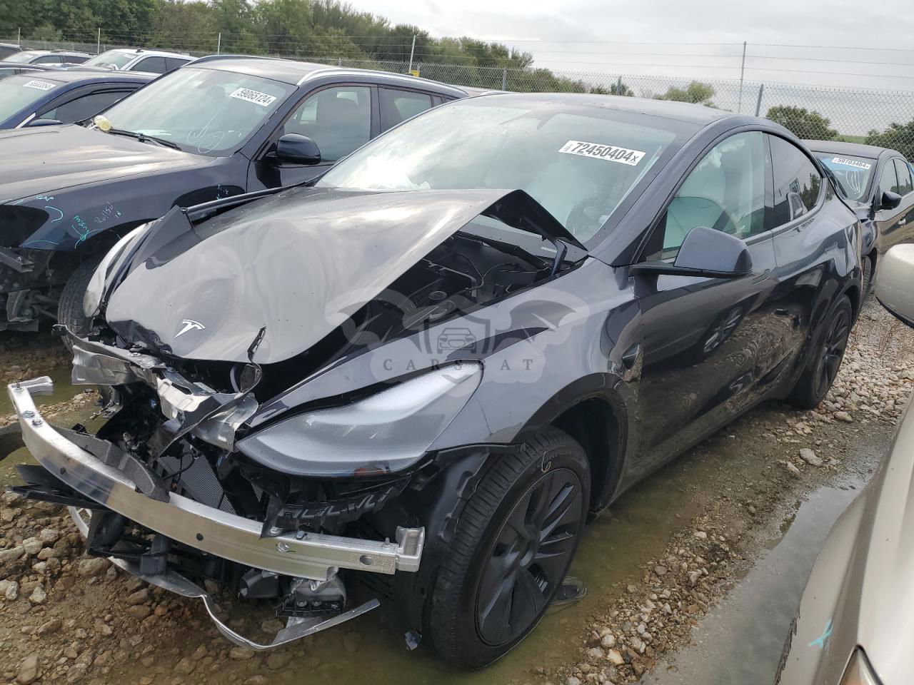 Tesla Model Y 2024