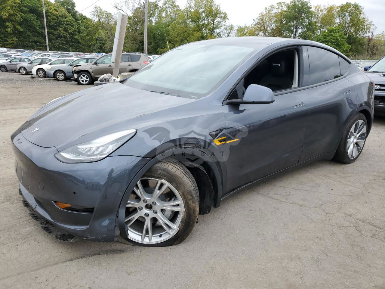 Tesla Model Y 2021
