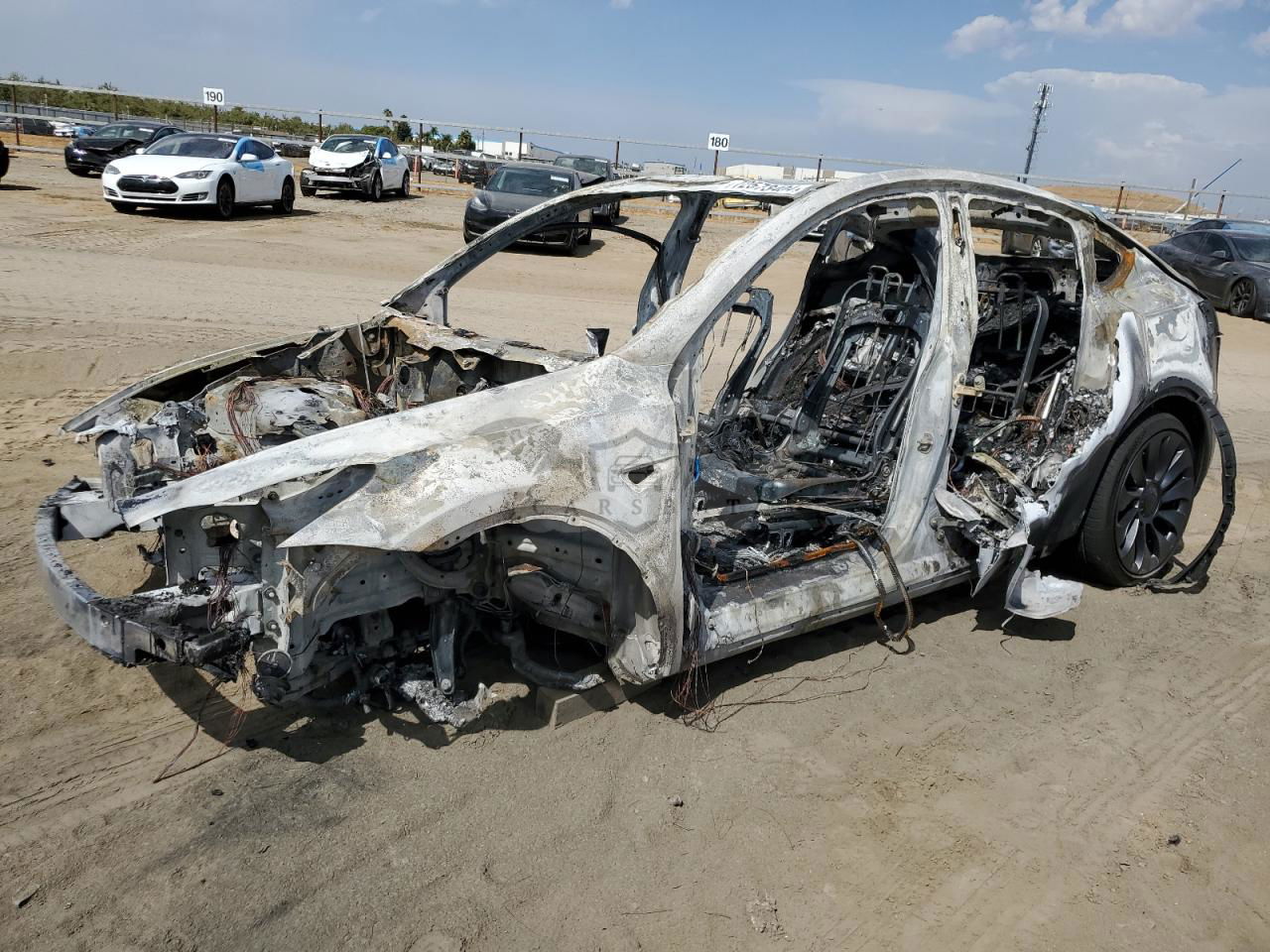 Tesla Model Y 2024