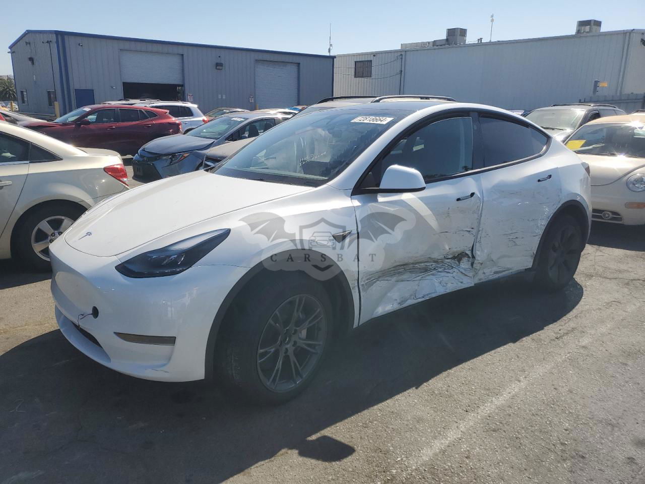 Tesla Model Y 2024