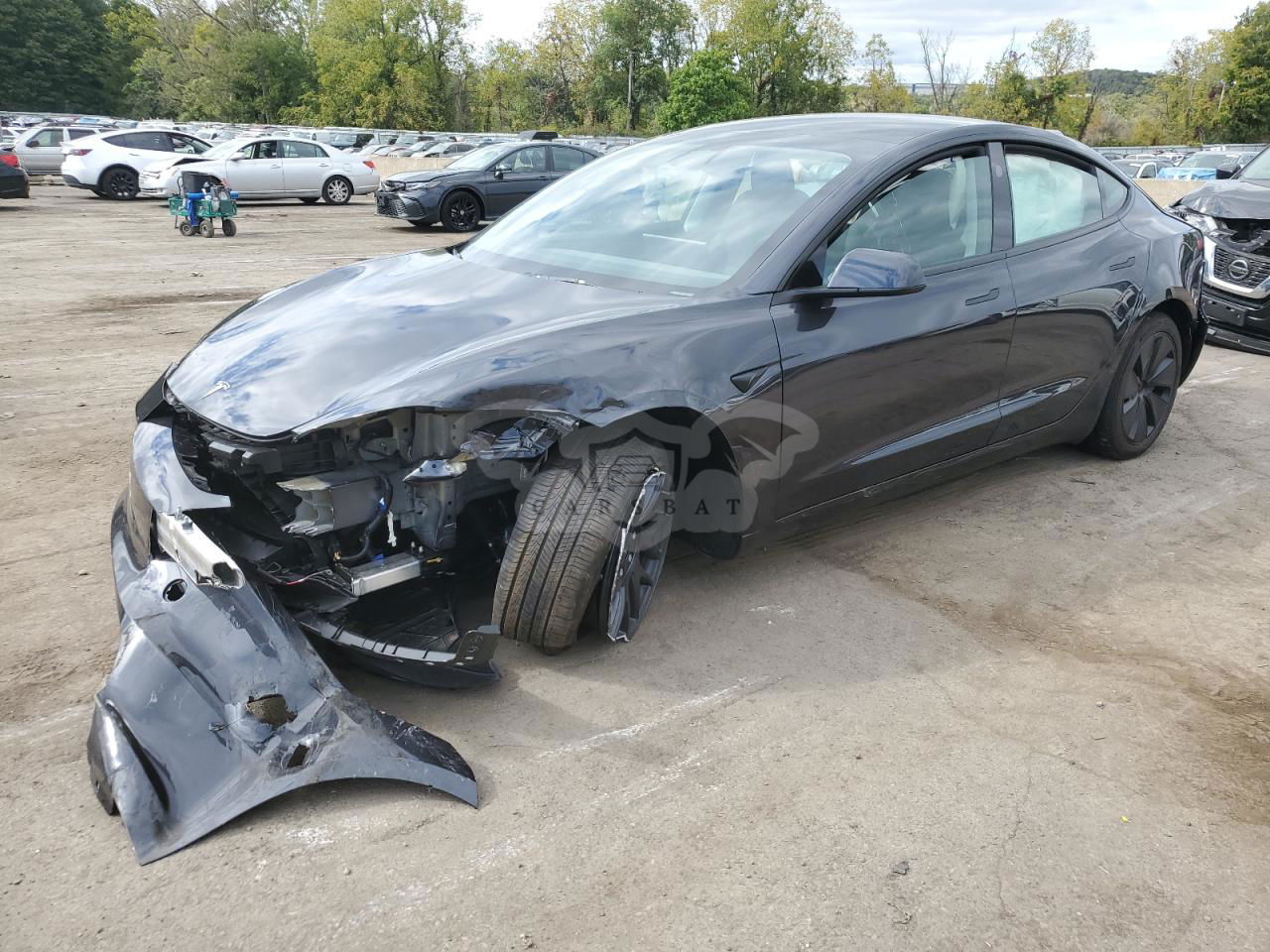 Tesla Model 3 2024