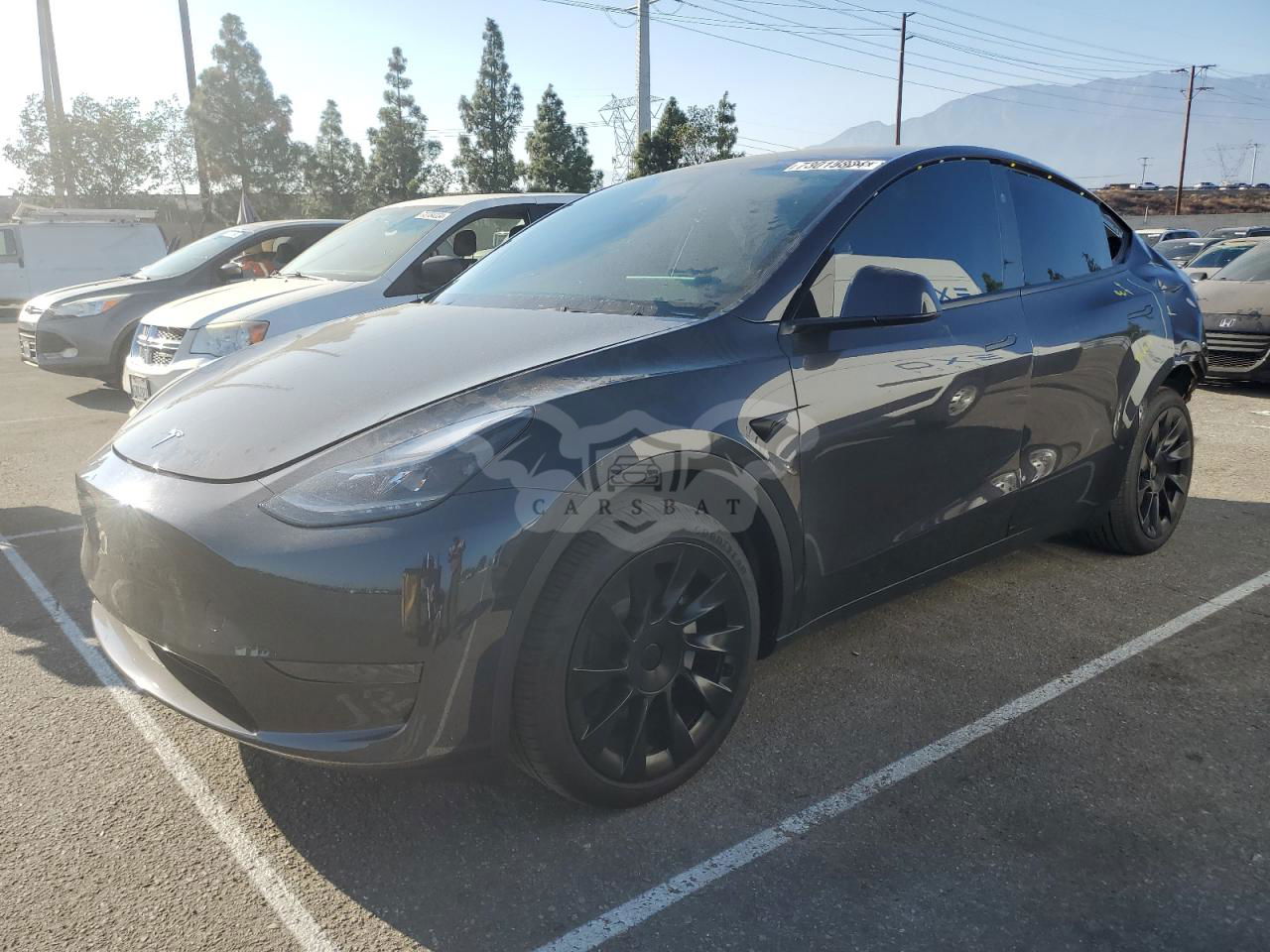 Tesla Model Y 2024