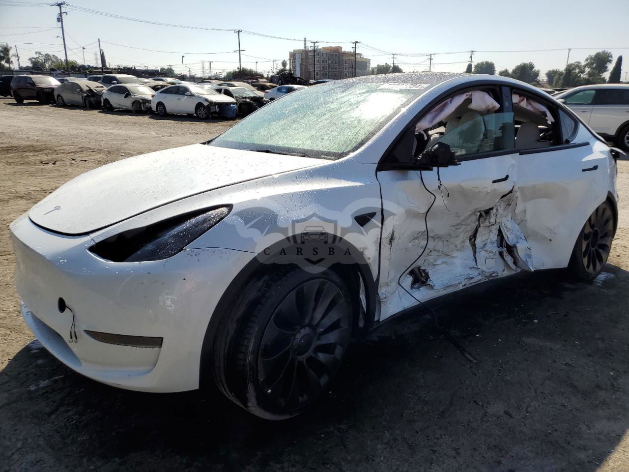 Tesla Model Y 2024
