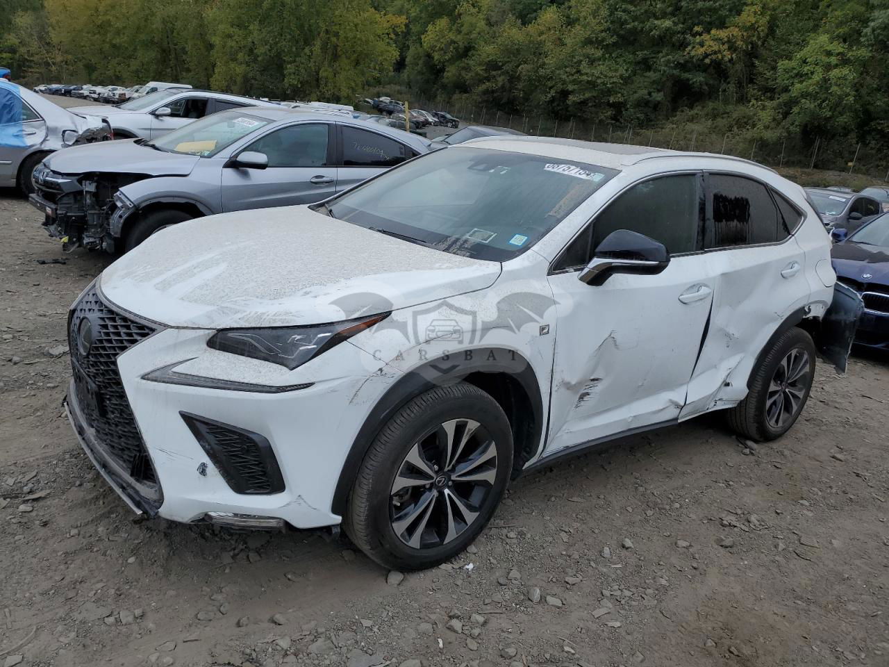 Lexus NX 300 F SPORT 2.0L  4 2020