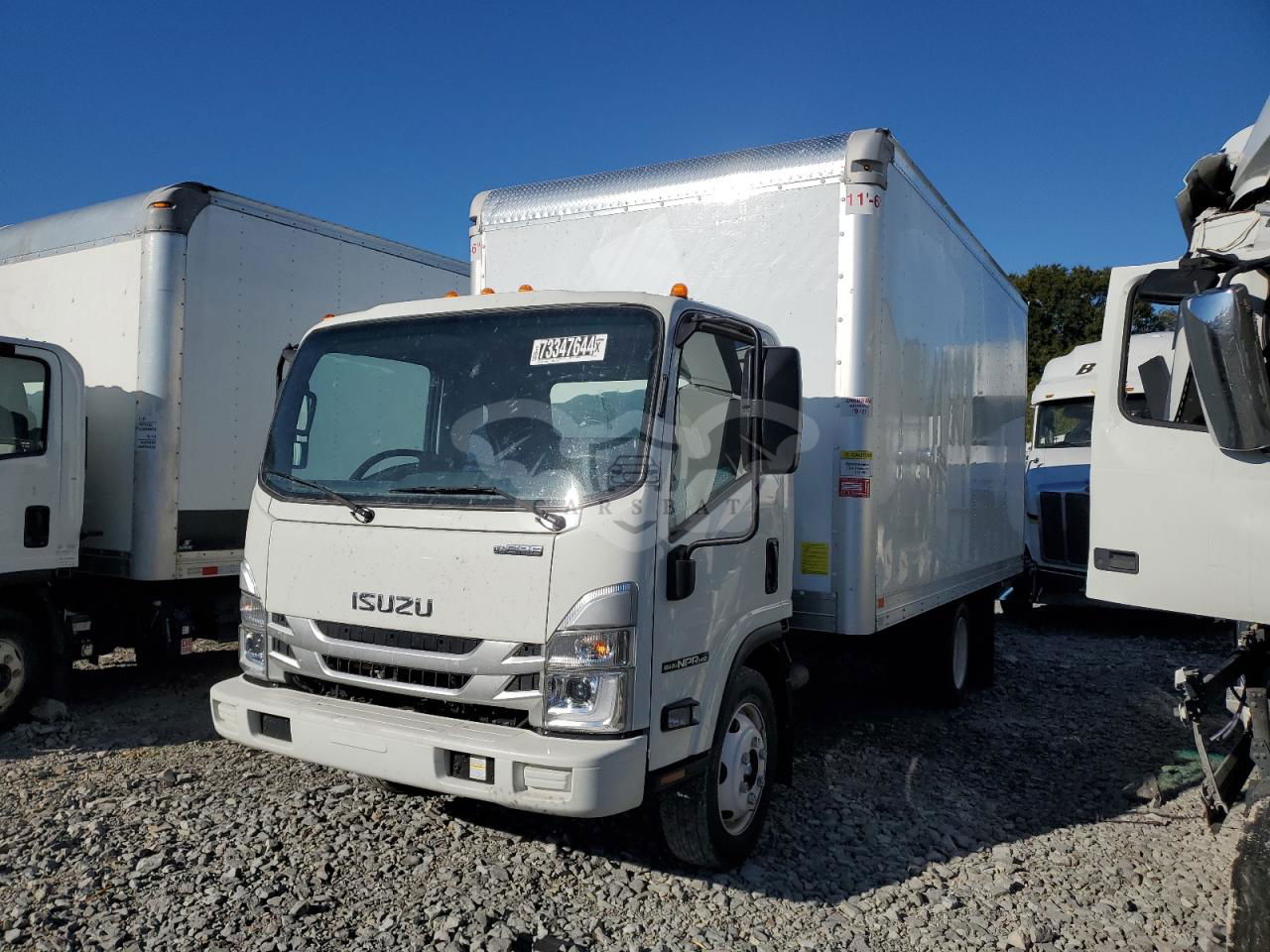Isuzu NPR 6.6L  8 2024