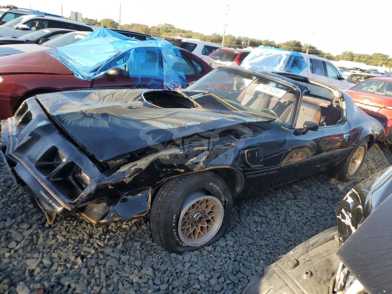 Pontiac Firebird 1980