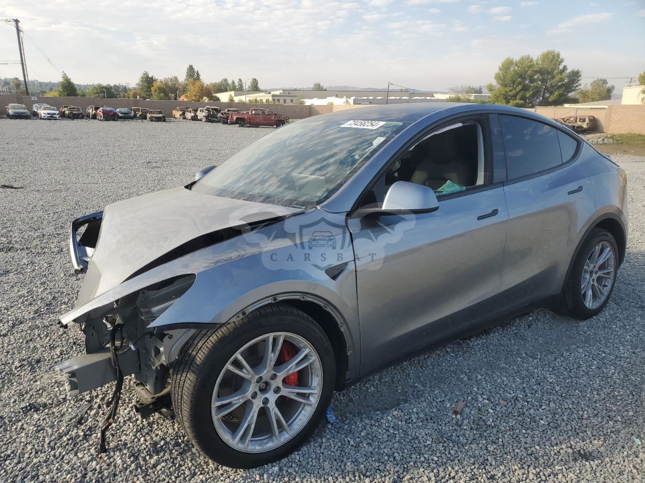 Tesla Model Y 2024