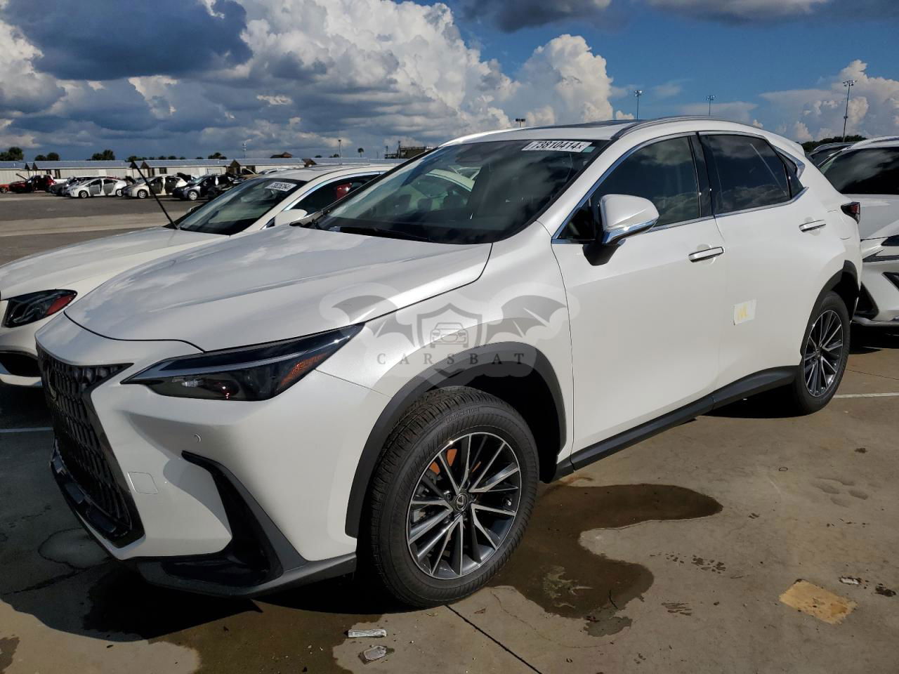 Lexus NX 250 PREMIUM 2.5L  4 2024
