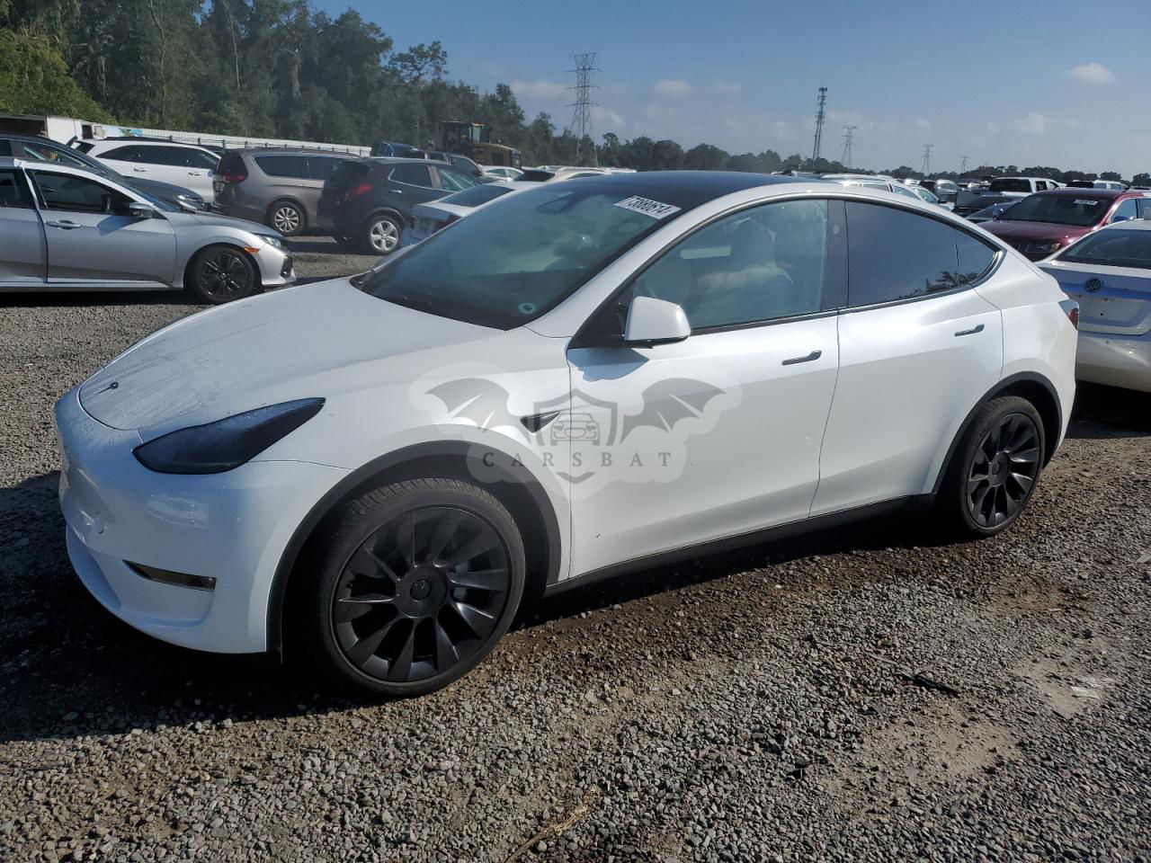 Tesla Model Y 2024