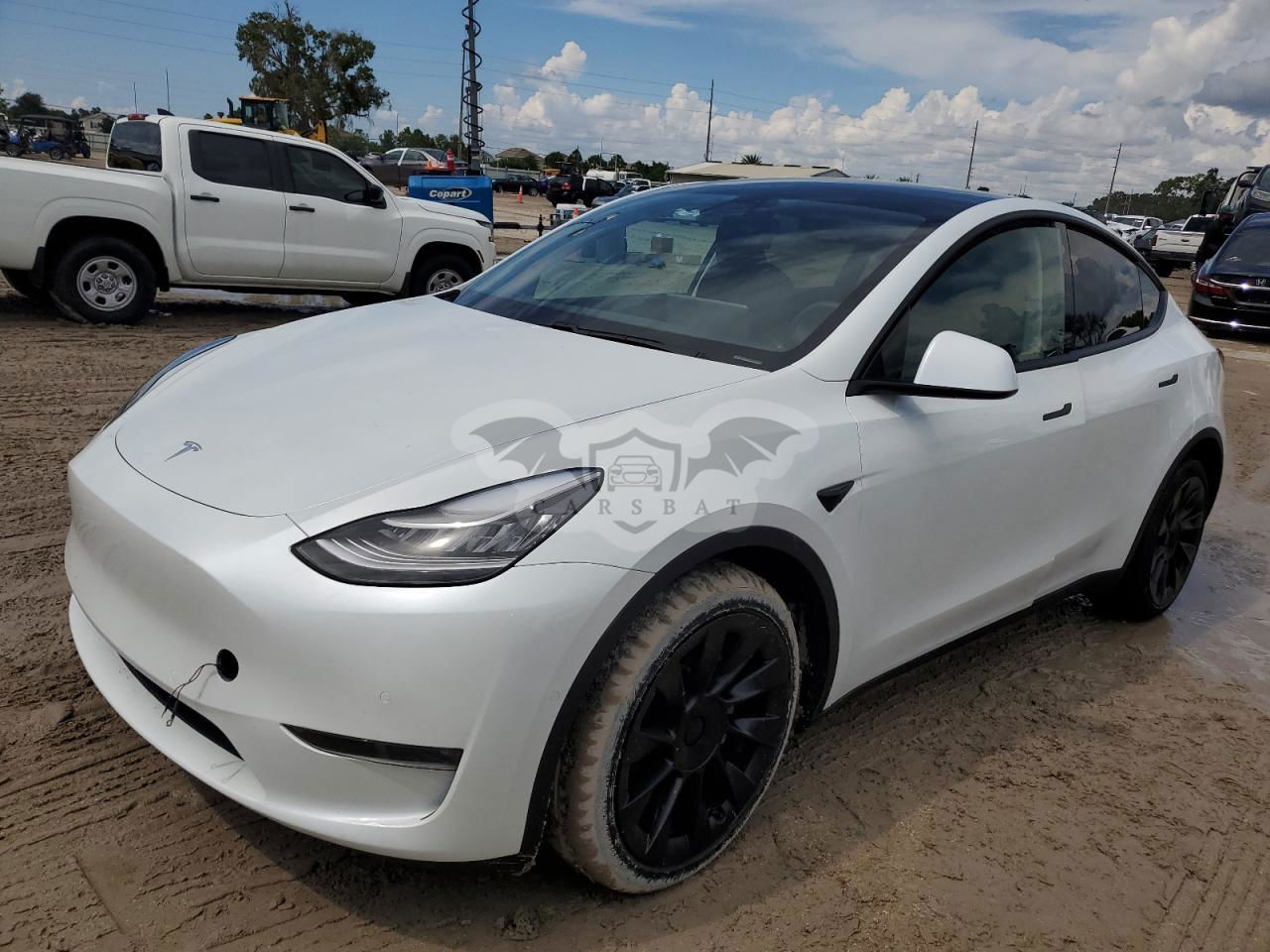 Tesla Model Y 2021