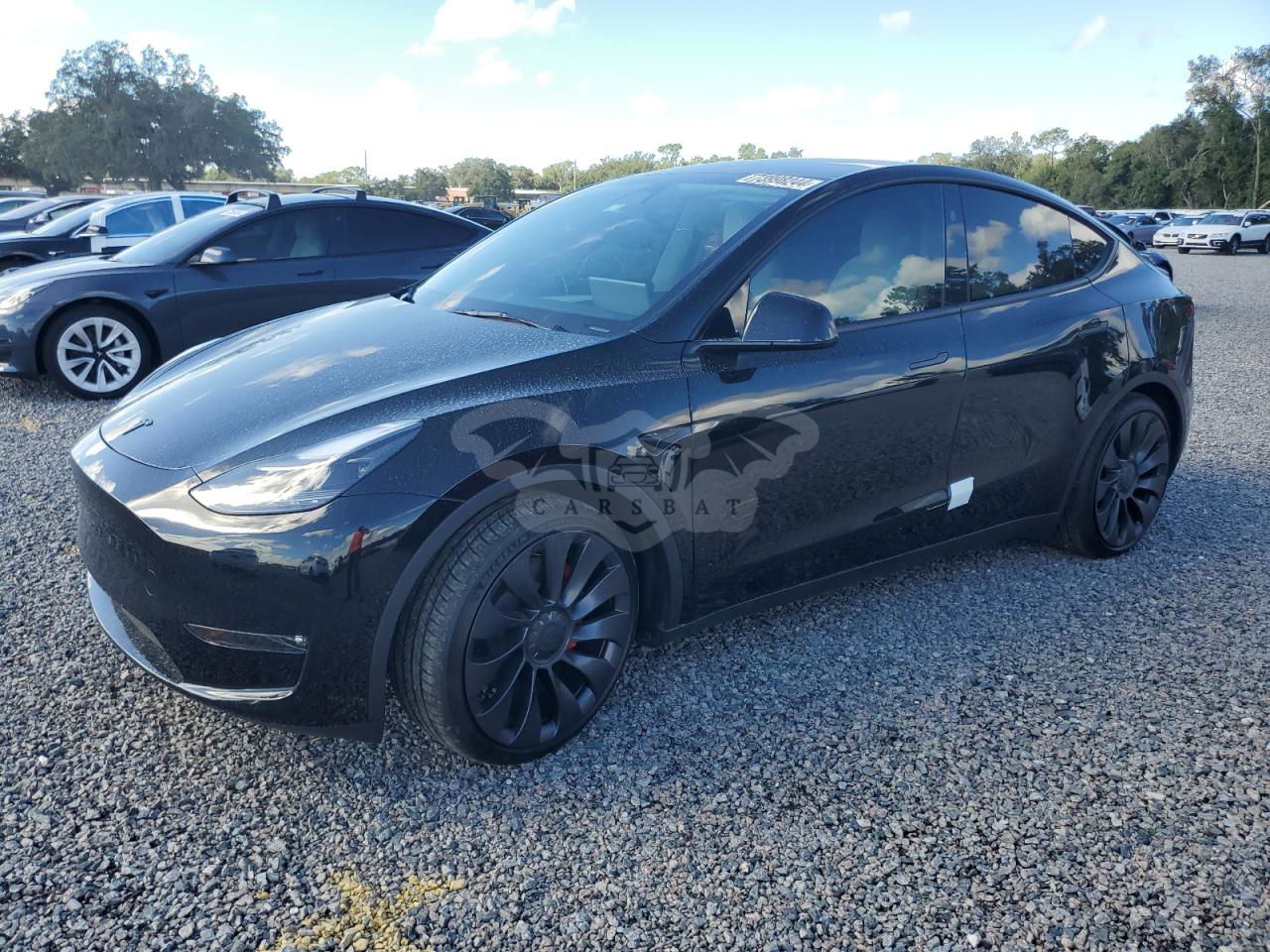 Tesla Model Y 2024