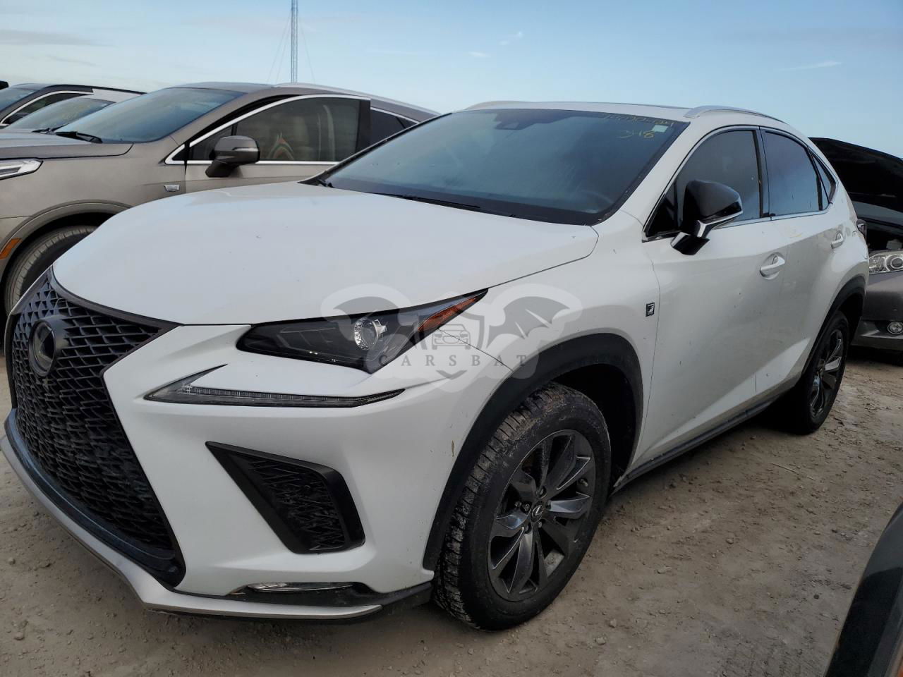 Lexus NX 300 F SPORT 2.0L  4 2020