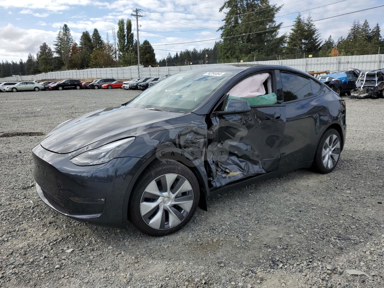 Tesla Model Y 2024