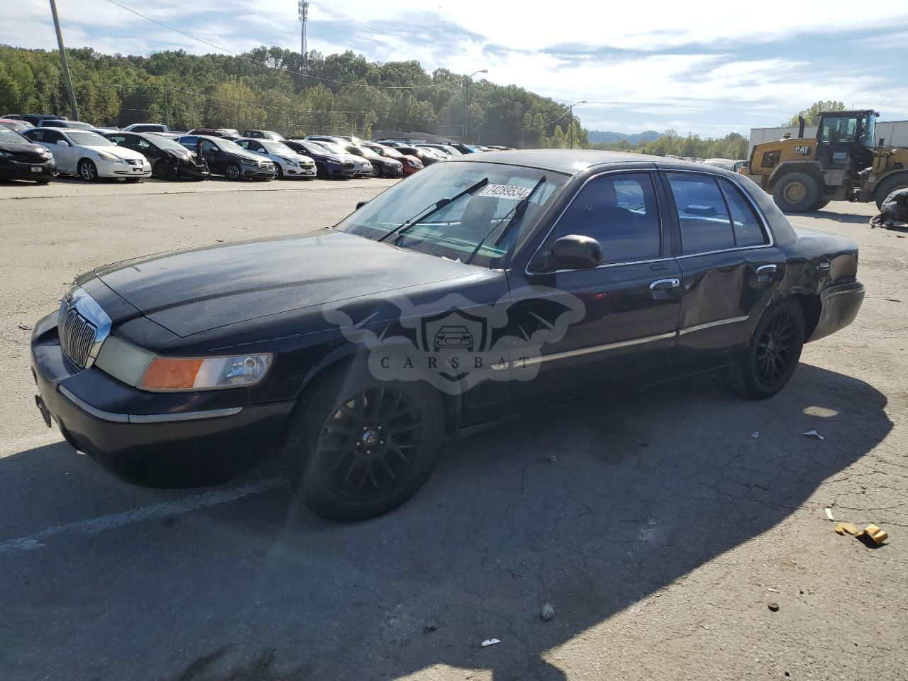 Mercury Grand Marquis LS 4.6L  8 2002