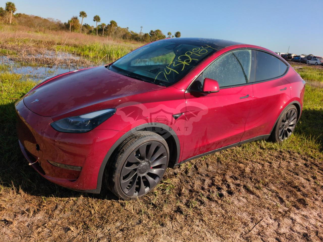 Tesla Model Y 2024