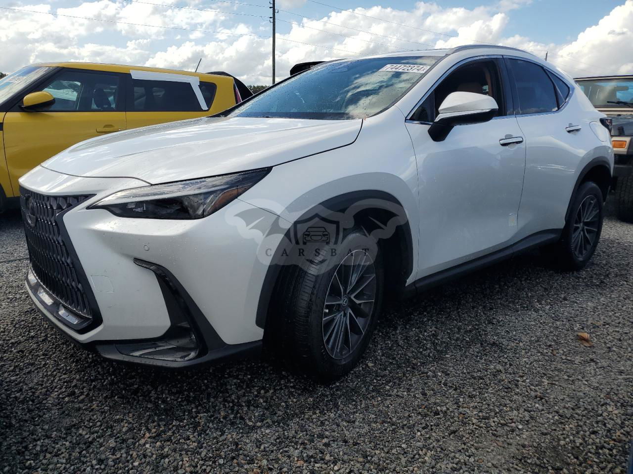 Lexus NX 250 PREMIUM 2.5L  4 2024