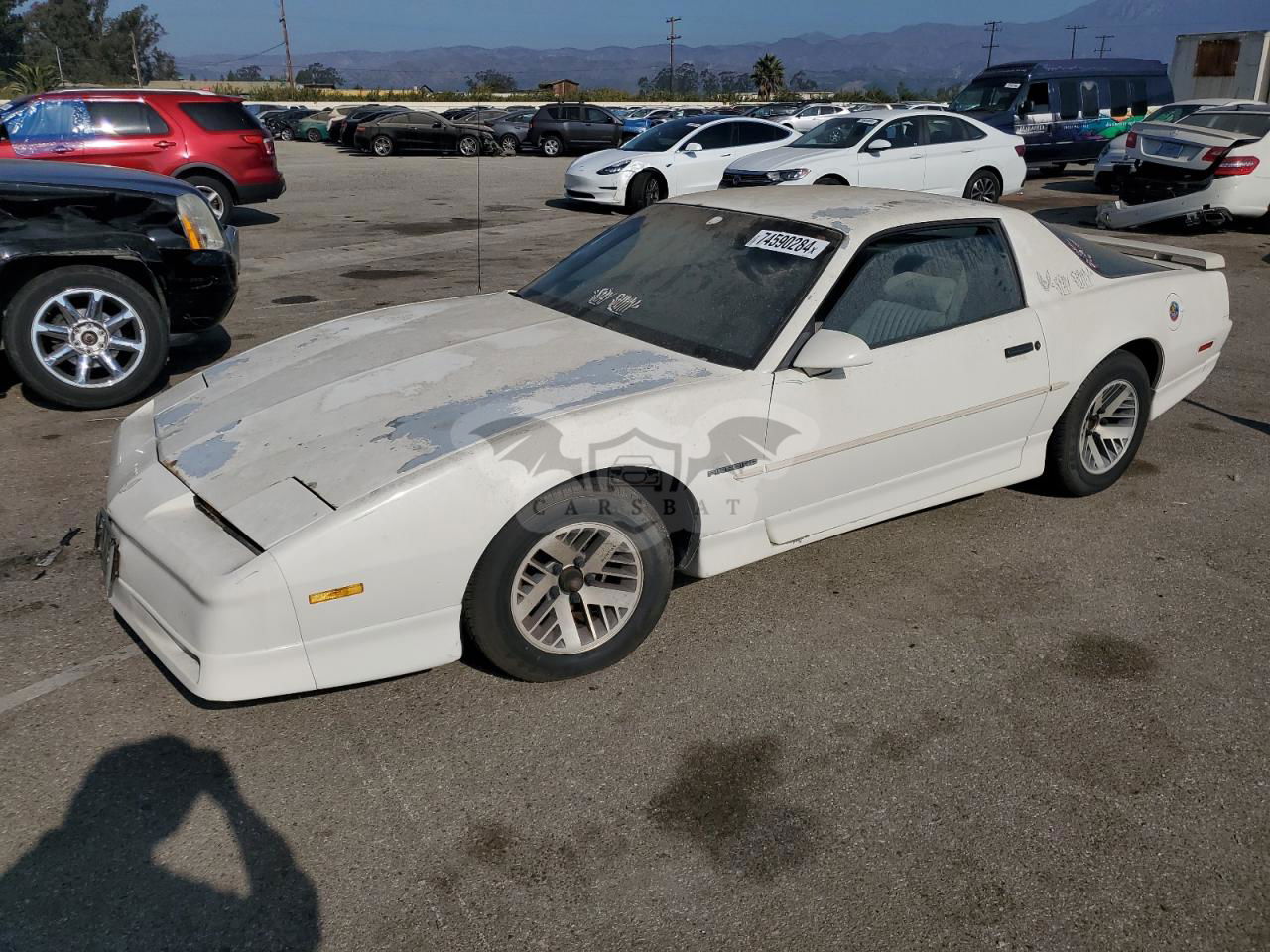 Pontiac Firebird 2.8L  6 1989