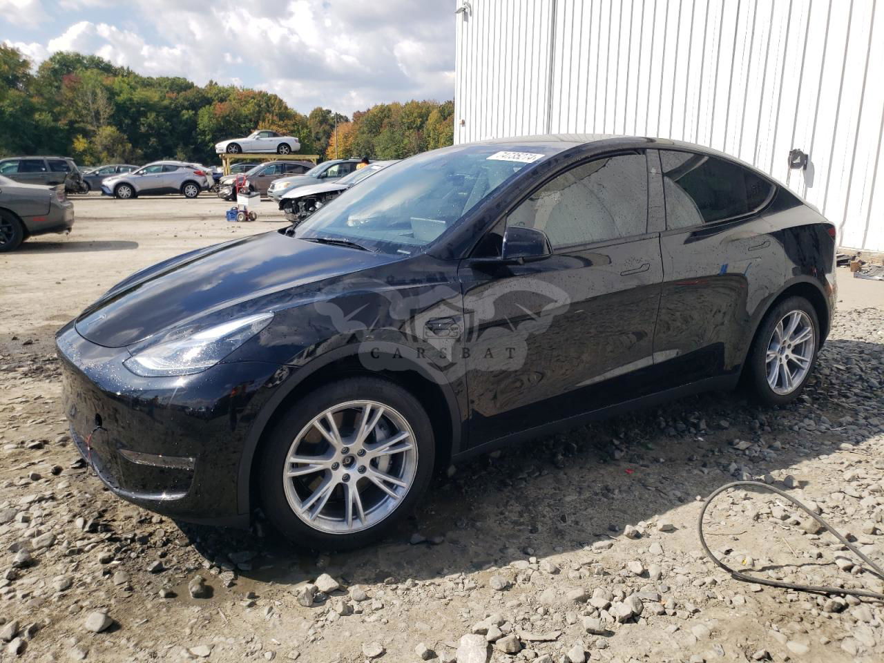 Tesla Model Y 2024
