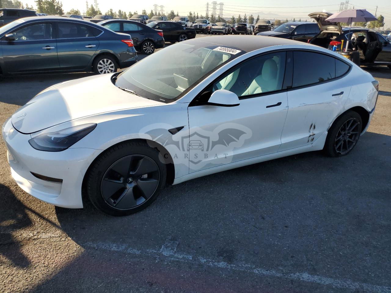 Tesla Model 3 2023