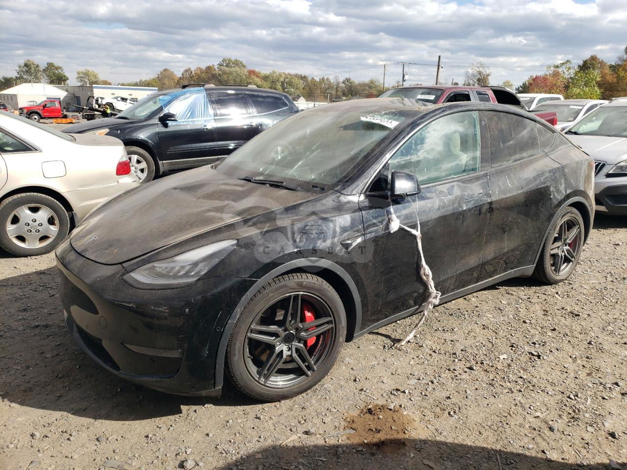 Tesla Model Y 2021