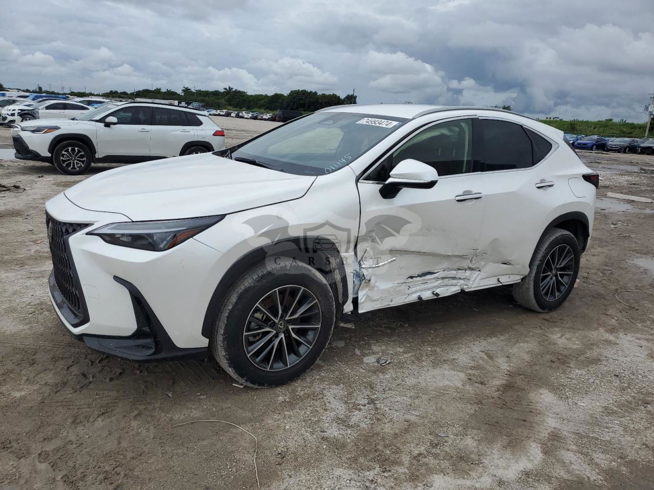 Lexus NX 250 BASE 2.5L  4 2024