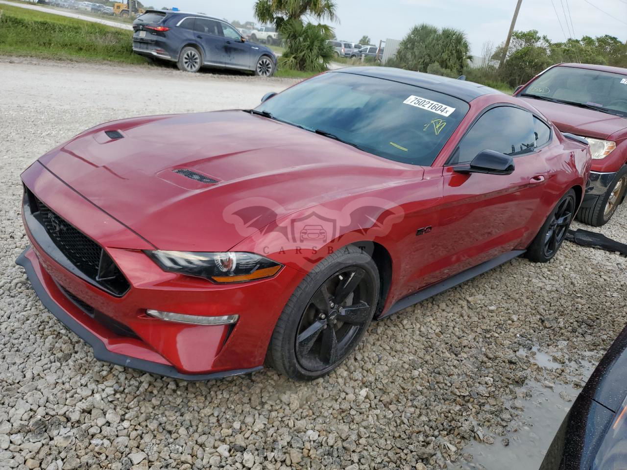 Ford Mustang GT 5.0L  8 2021