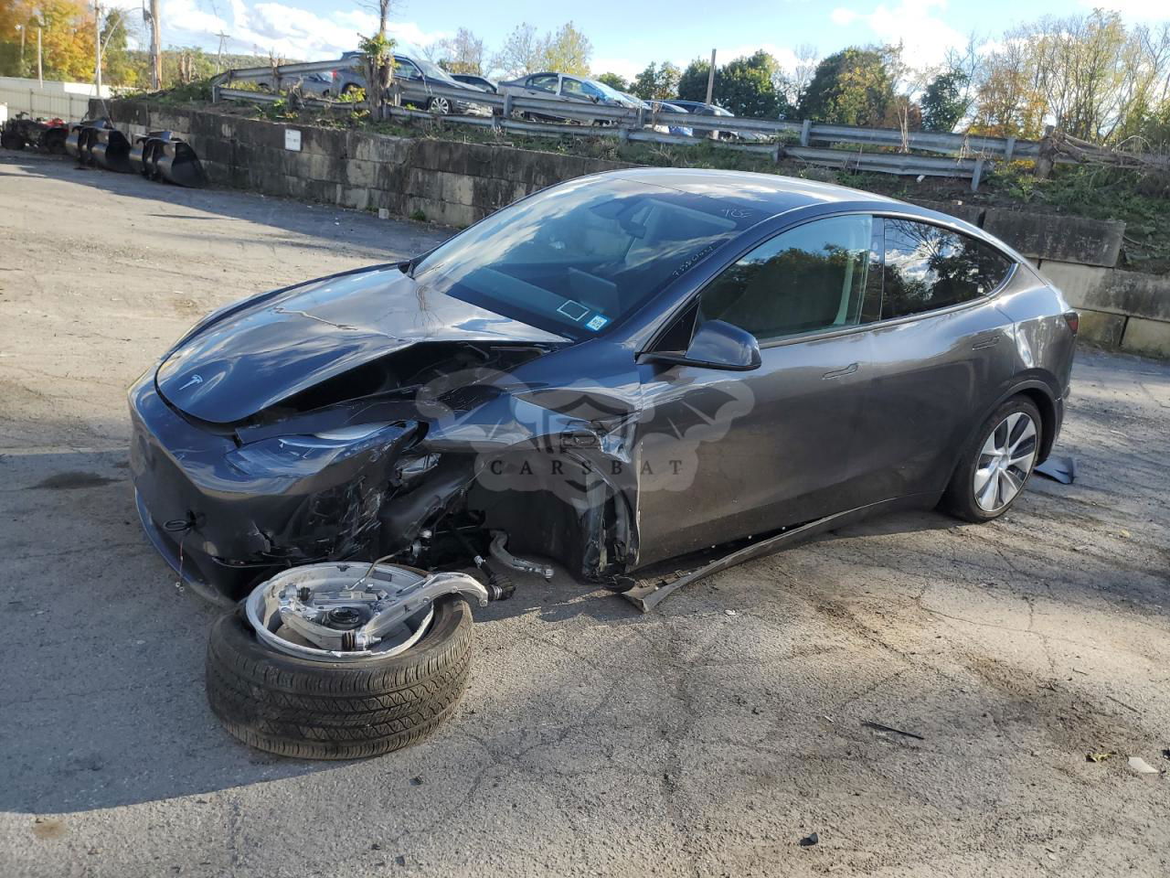 Tesla Model Y 2024