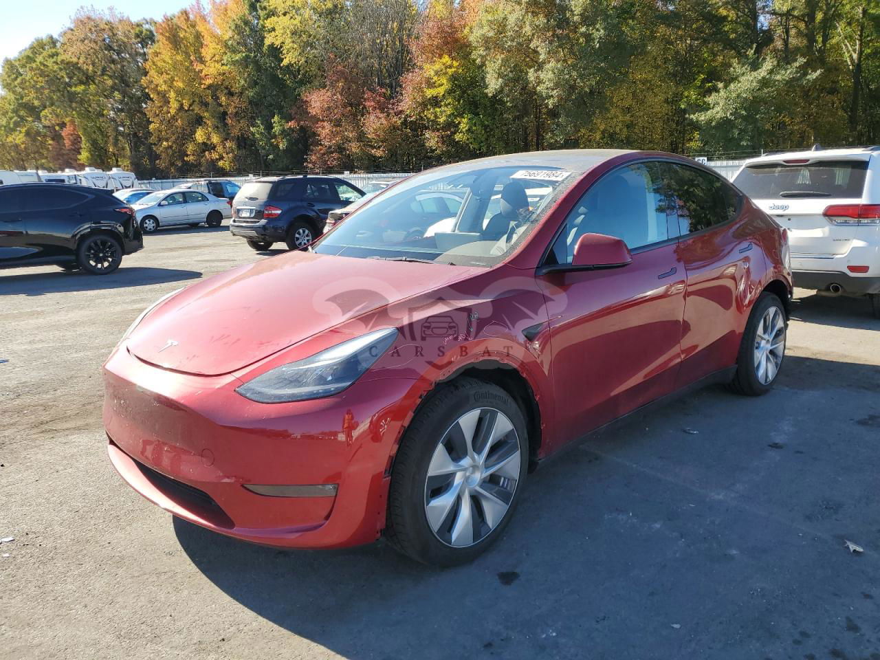 Tesla Model Y 2024