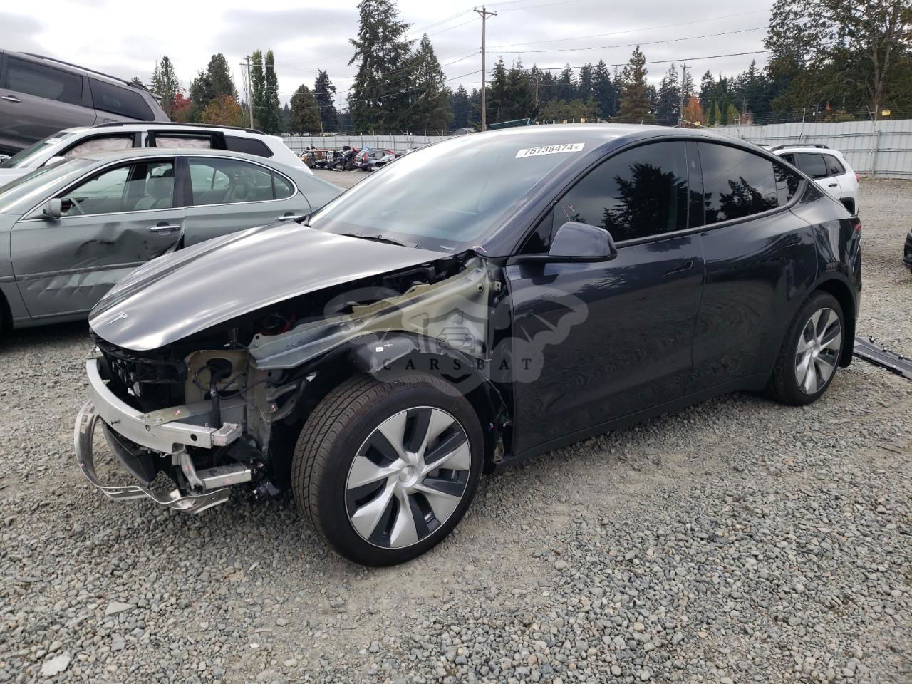 Tesla Model Y 2024