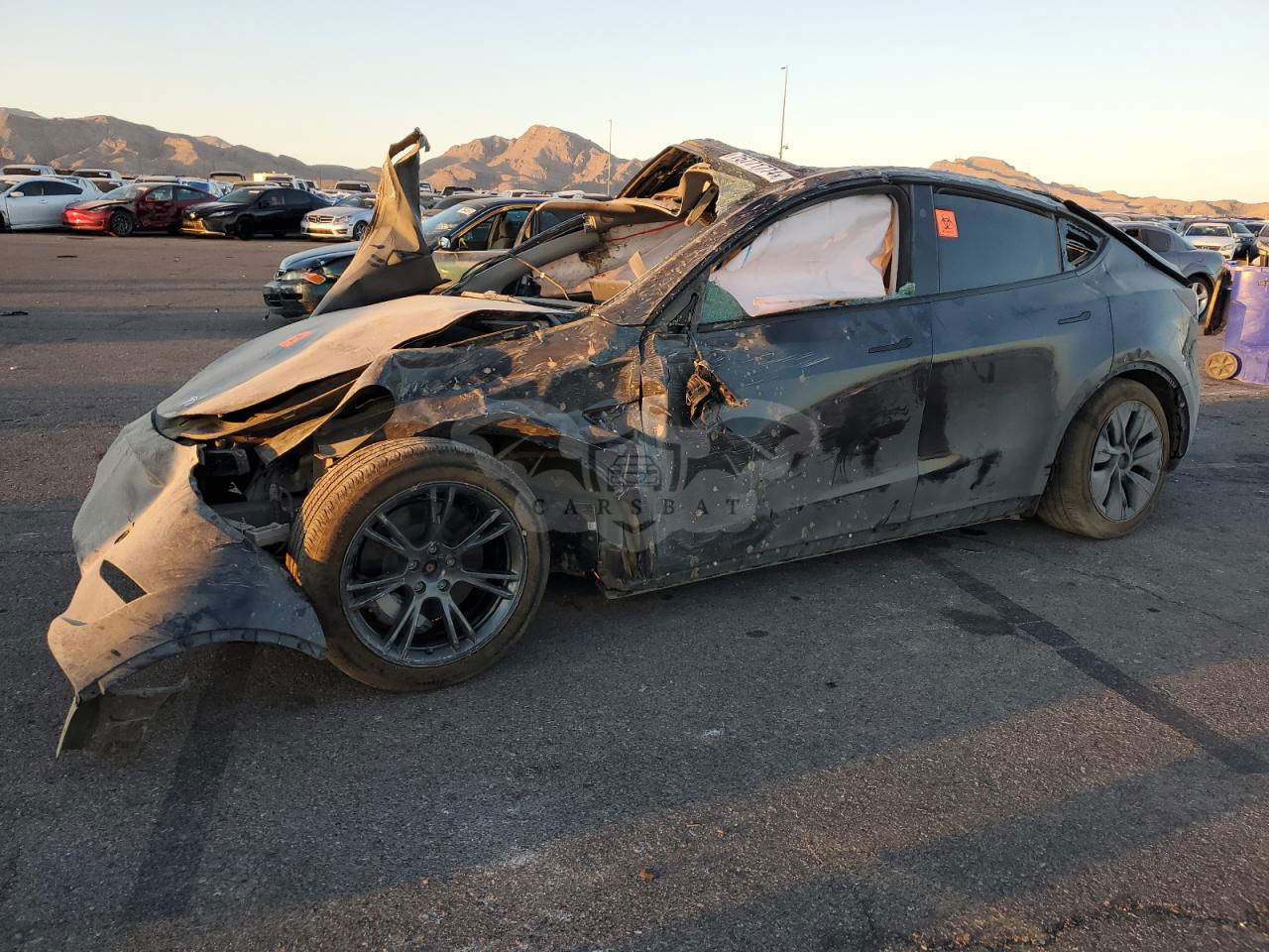 Tesla Model Y 2024