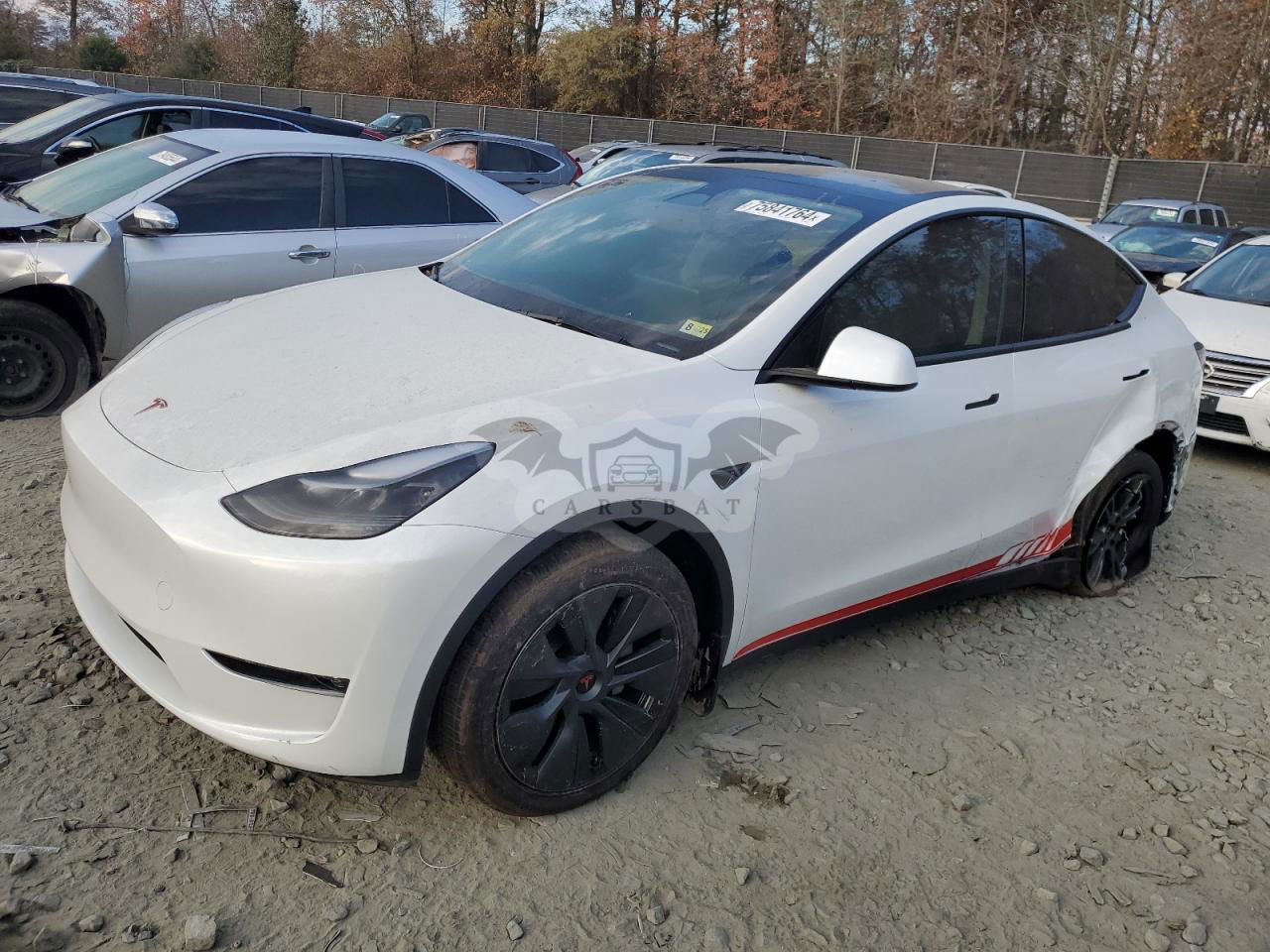 Tesla Model Y 2024