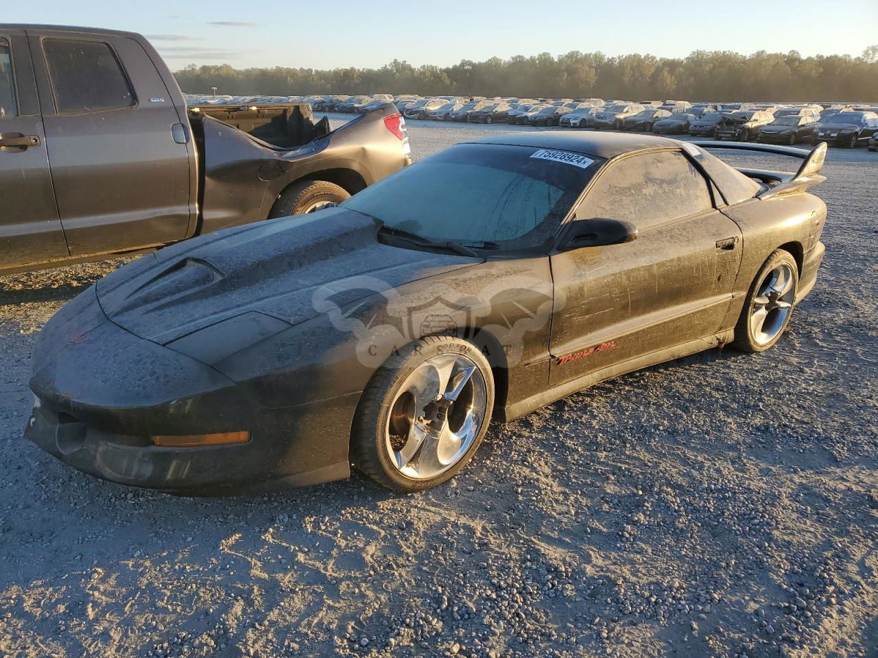 Pontiac Firebird 5.7L  8 1993