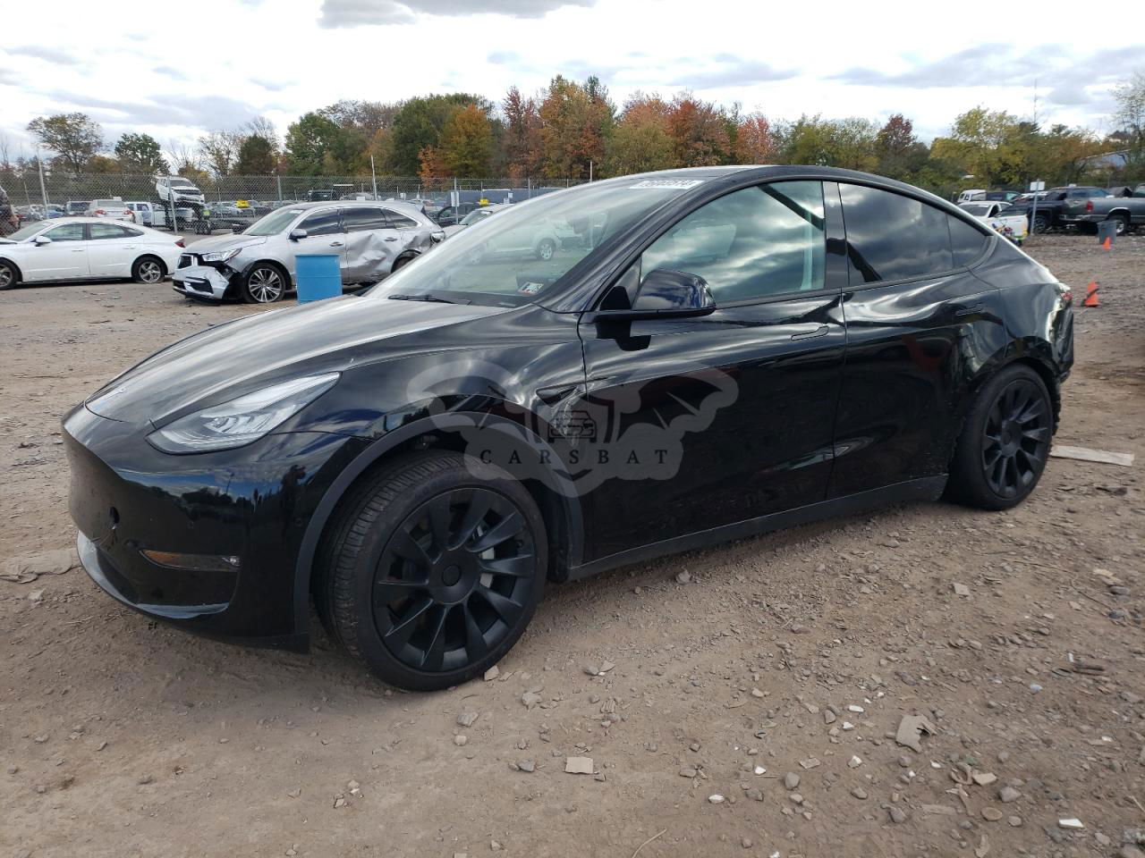 Tesla Model Y 2021