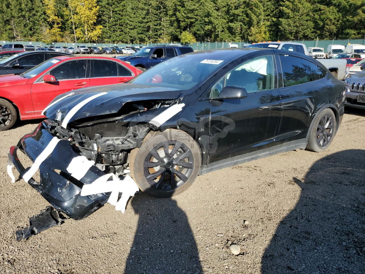Tesla Model X 2024