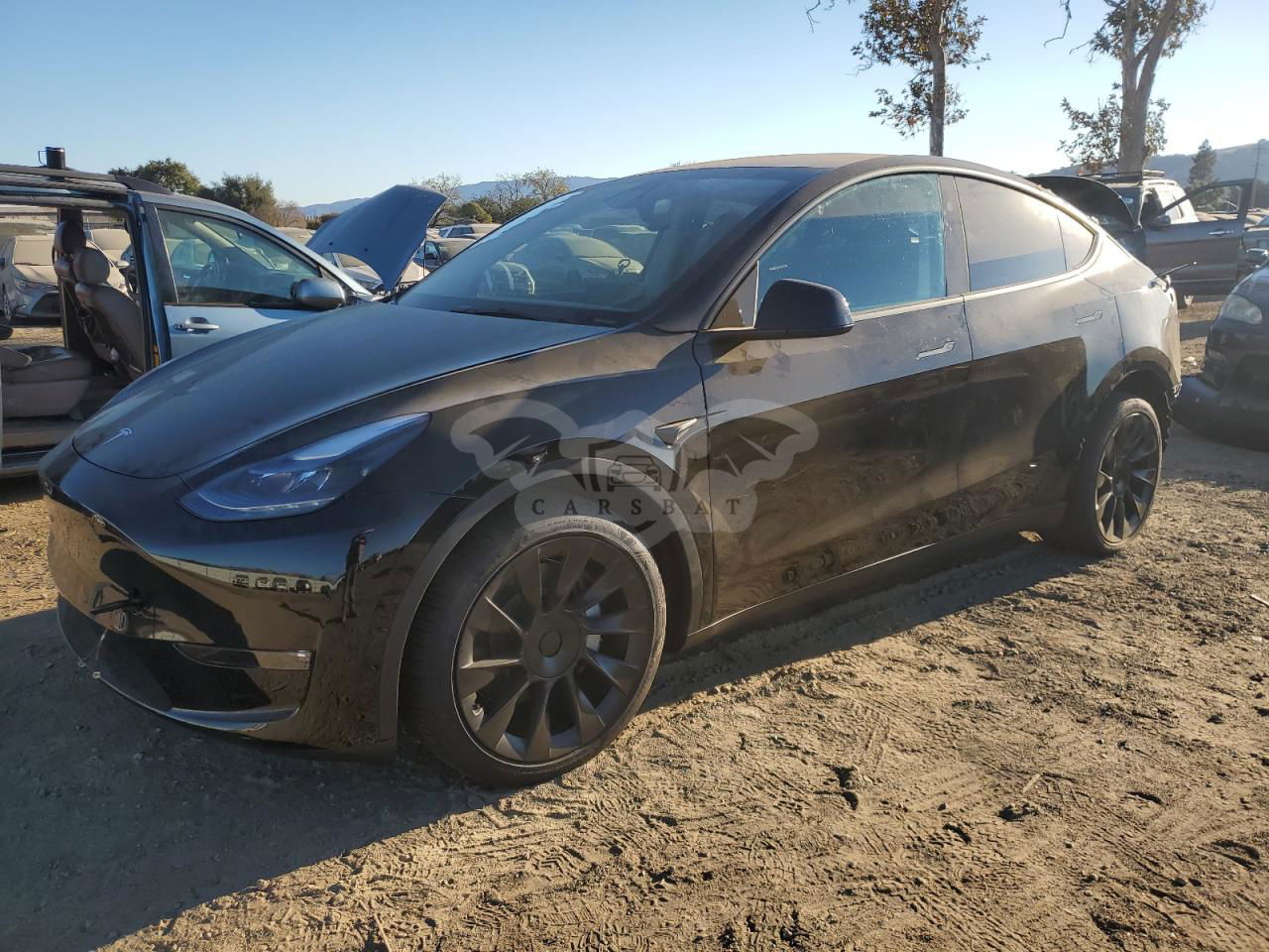 Tesla Model Y 2024