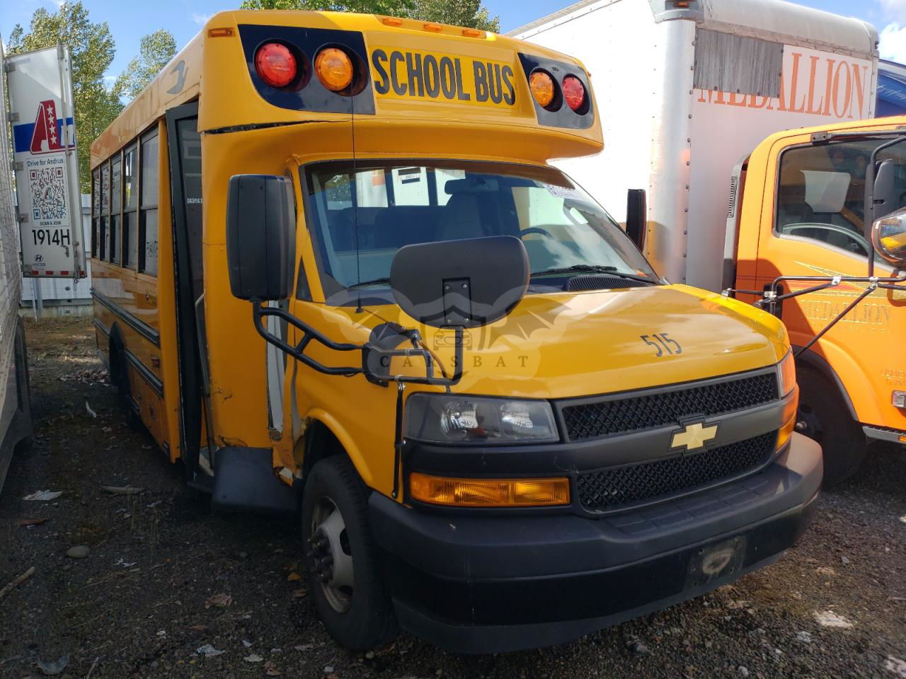 Chevrolet Express 6.6L  8 2021