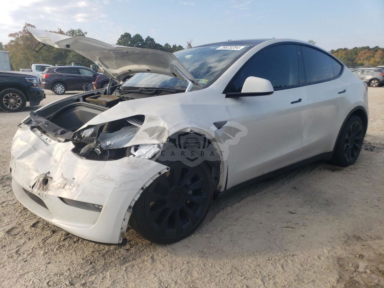 Tesla Model Y 2021