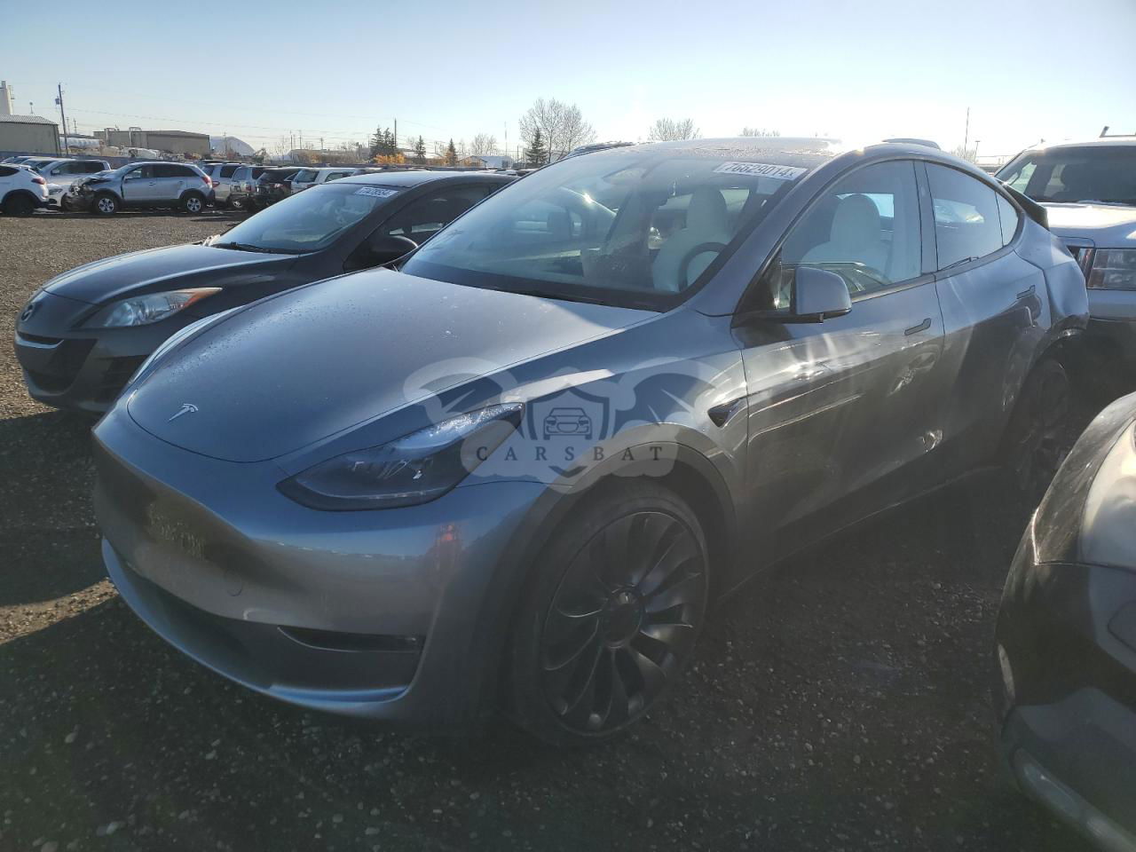Tesla Model Y 2024