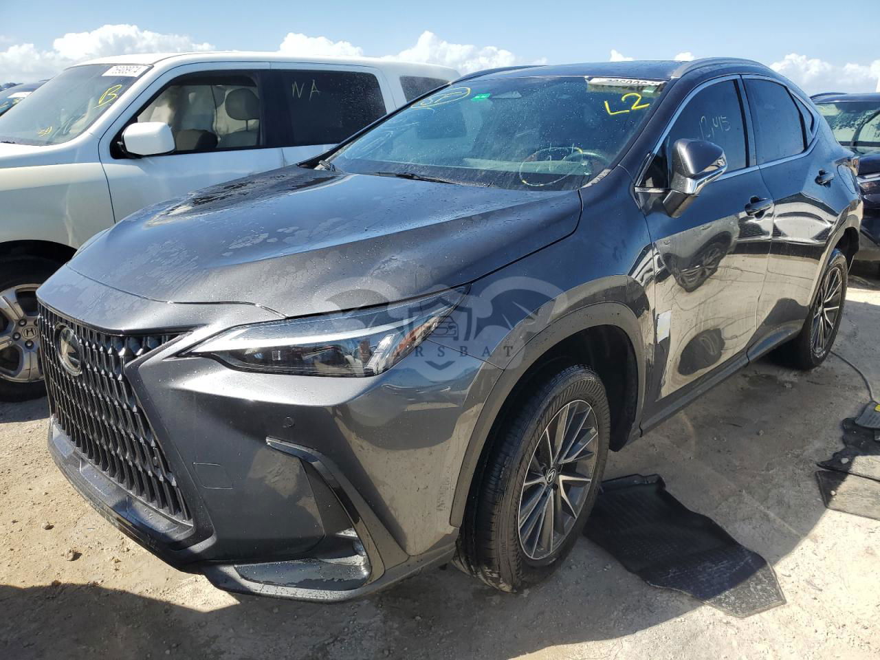 Lexus NX 350H BASE 2.5L  4 2024