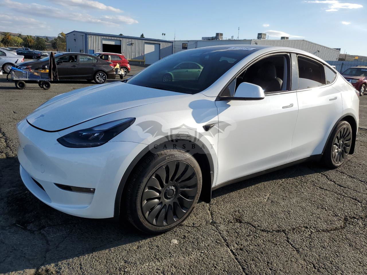 Tesla Model Y 2024