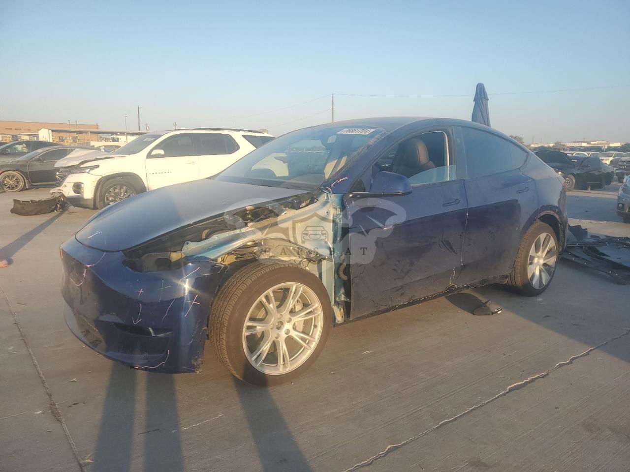 Tesla Model Y 2024
