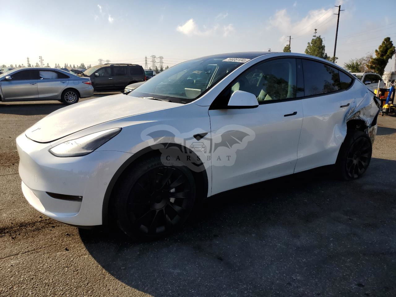 Tesla Model Y 2021