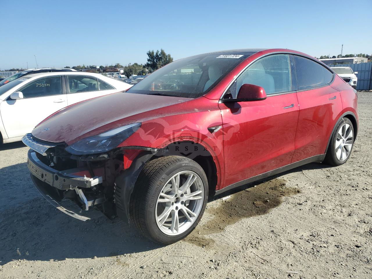 Tesla Model Y 2024