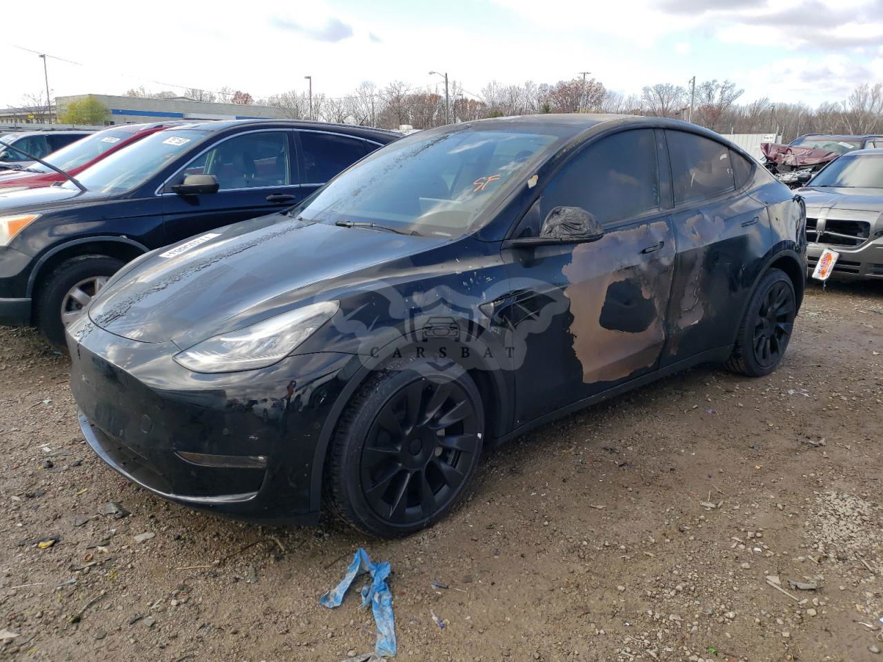 Tesla Model Y 2021