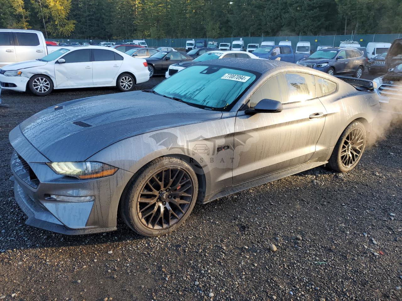Ford Mustang GT 5.0L  8 2021