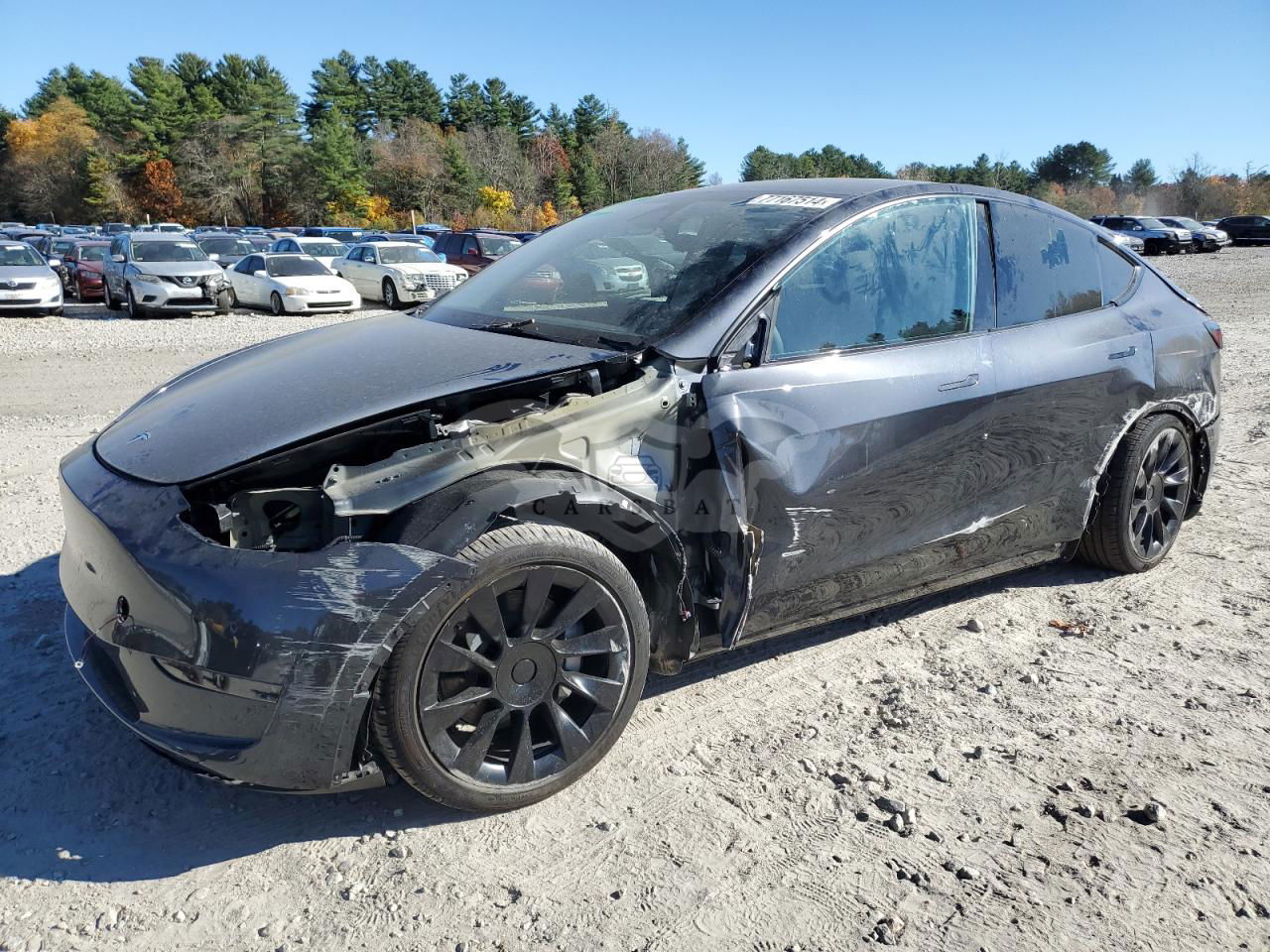Tesla Model Y 2024