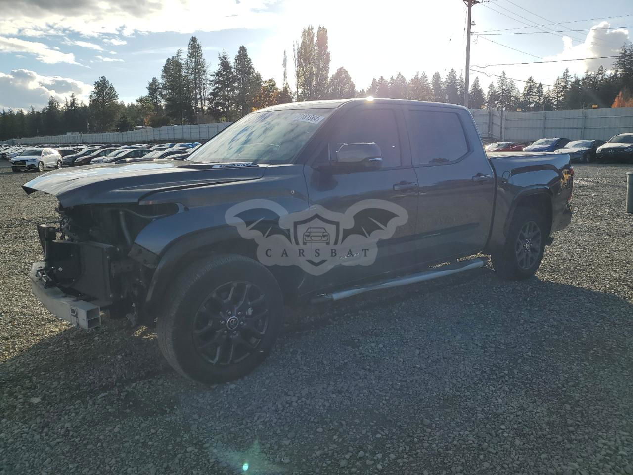 Toyota Tundra CREWMAX PLATINUM 3.4L  6 2023