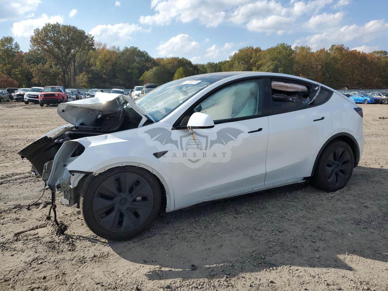 Tesla Model Y 2024